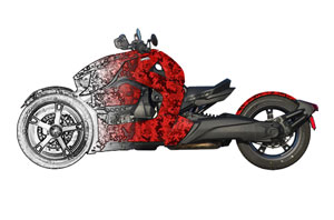 Can Am BRP Ryker Custom Graphic Kit - 2019