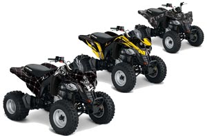 Can Am Bombardier DS250 ATV Graphic Kit