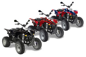 Polaris Trailblazer 350 ATV Graphic Kit