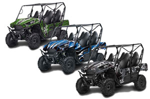 Kawasaki Teryx 800 4 Door Custom Graphic Kit - 2013-2015