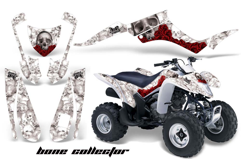 Suzuki LTZ 250 ATV Custom Graphic Kit - 2004-2011