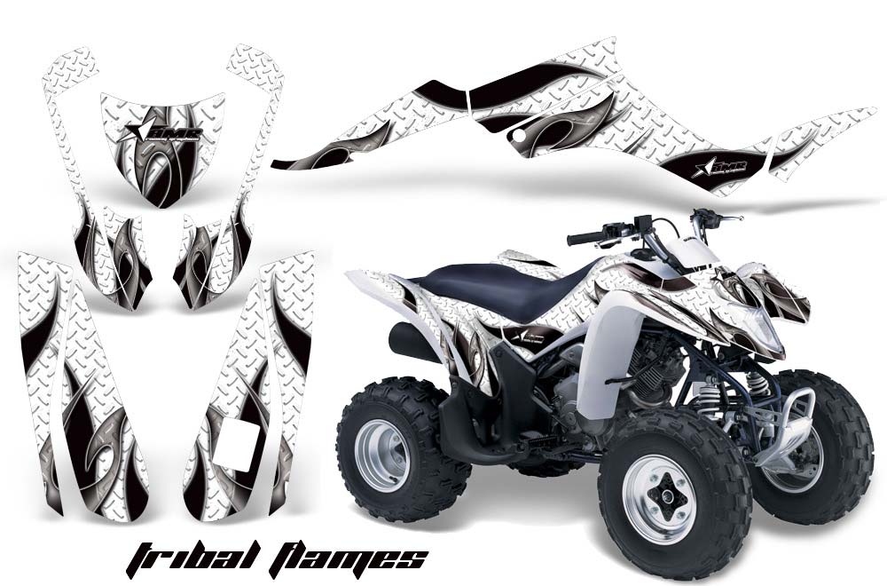 Suzuki LTZ 250 ATV Custom Graphic Kit - 2004-2011