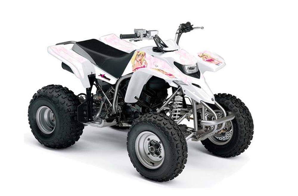 Yamaha Blaster YFS200 ATV Graphic Kit - 1988-2001 Mandy Pink