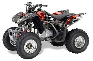 Honda TRX 250EX / 250R / 250X ATV Graphic Kit - 2006-2018 Checkered Skull Silver