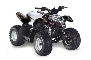 Polaris Predator 50 ATV Graphic Kit - All Years Reaper Black