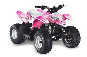 Polaris Predator 50 ATV Graphic Kit - All Years Starlett Pink