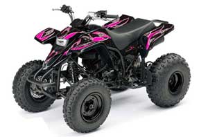 Yamaha Blaster YFS200 ATV Graphic Kit - 1988-2001 Tribal Flames Pink
