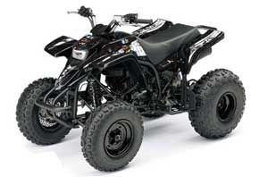 Yamaha Blaster YFS200 ATV Graphic Kit