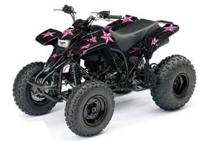 Yamaha Blaster YFS200 ATV Graphic Kit - 1988-2001 Northstar Pink