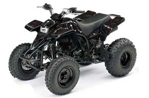 Yamaha Blaster YFS200 ATV Graphic Kit - 1988-2001 Reaper Black