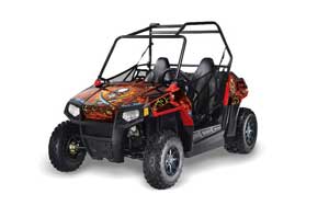 Polaris RZR 170 Graphic Kit - All Years Ed Hardy - Pirates Red