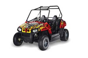 Polaris RZR 170 Graphic Kit - All Years Motorhead Red