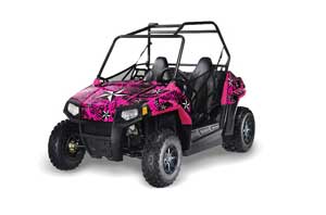 Polaris RZR 170 Graphic Kit - All Years Northstar Pink