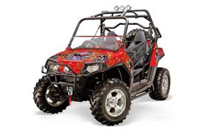 Polaris RZR 800 / 800S Graphic Kit - 2006-2010 Ed Hardy - Love Kills Red