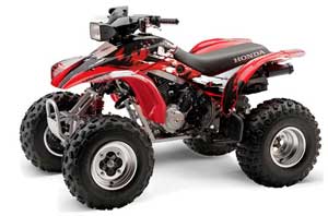 Honda TRX 300EX ATV Graphic Kit - 1993-2006 Carbon X Red