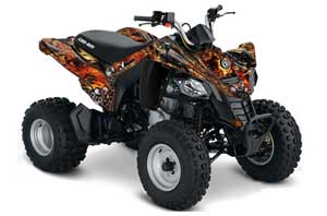 Can Am Bombardier DS250 ATV Graphic Kit - 2006-2021 Firestorm Black
