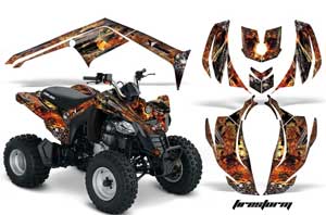 Can Am Bombardier DS250 ATV Graphic Kit - 2006-2021 Firestorm Black