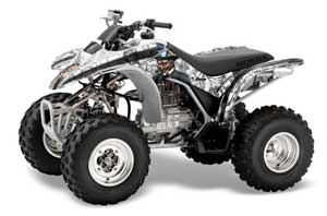 Honda TRX 250EX / 250X ATV Graphic Kit