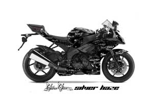 Kawasaki ZX10 Ninja Graphic Kit - 2008-2009 Silver Star Silverhaze Black