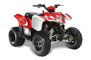 Polaris Phoenix 200 ATV Graphic Kit - 2005-2016 T Bomber Red