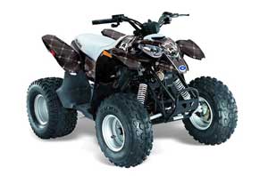 Polaris Predator 90 ATV Graphic Kit - 2002-2011 Silver Star - Reloaded White