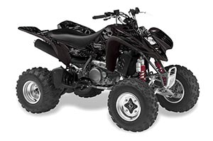 Kawasaki KFX 400 ATV Graphic Kit - 2003-2008 Skulls Hammer Silver