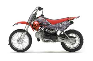 Suzuki DRZ 110 Dirt Bike Graphic Kit - All Years Checkered Skull Red