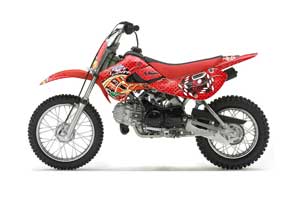 Suzuki DRZ 110 Dirt Bike Graphic Kit - All Years Vegas Baller Red