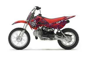 Suzuki DRZ 110 Dirt Bike Graphic Kit - All Years Widow Maker Blue