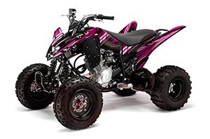 Yamaha Raptor 125 ATV Graphic Kit - 2011-2014 In Line Pink