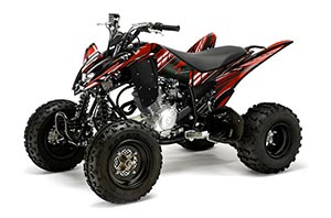 Yamaha Raptor 125 ATV Graphic Kit - 2011-2014 In Line Red