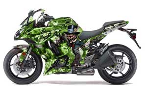 Kawasaki ZX1000 Ninja Graphic Kit